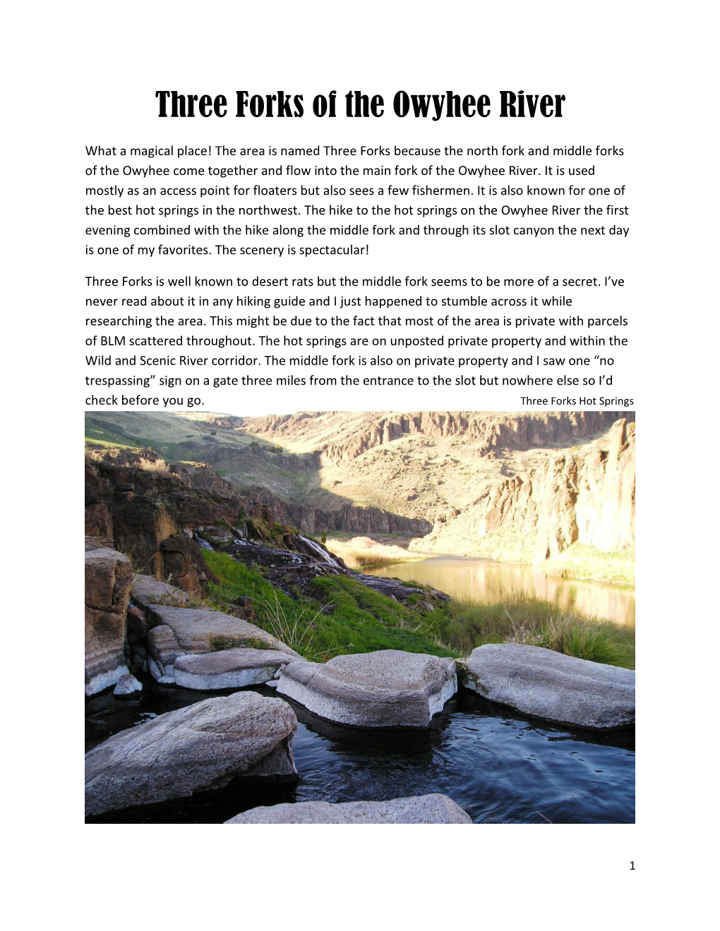 Three Forks of the Owyhee River