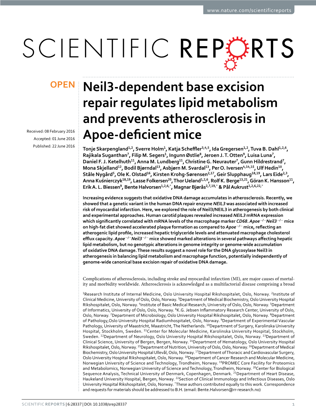 Neil3-Dependent Base Excision Repair Regulates Lipid Metabolism And
