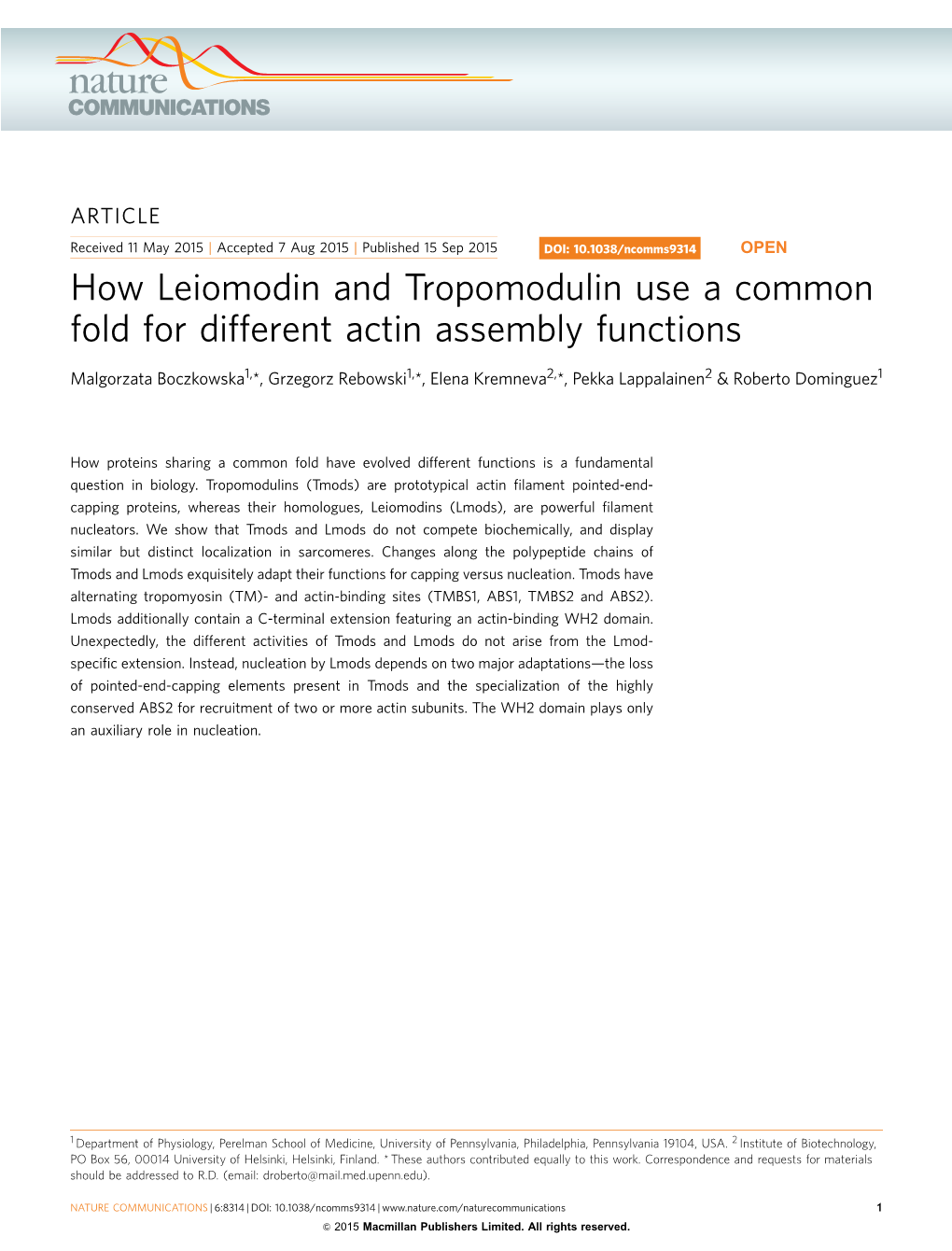 How Leiomodin and Tropomodulin Use a Common Fold for Different Actin Assembly Functions