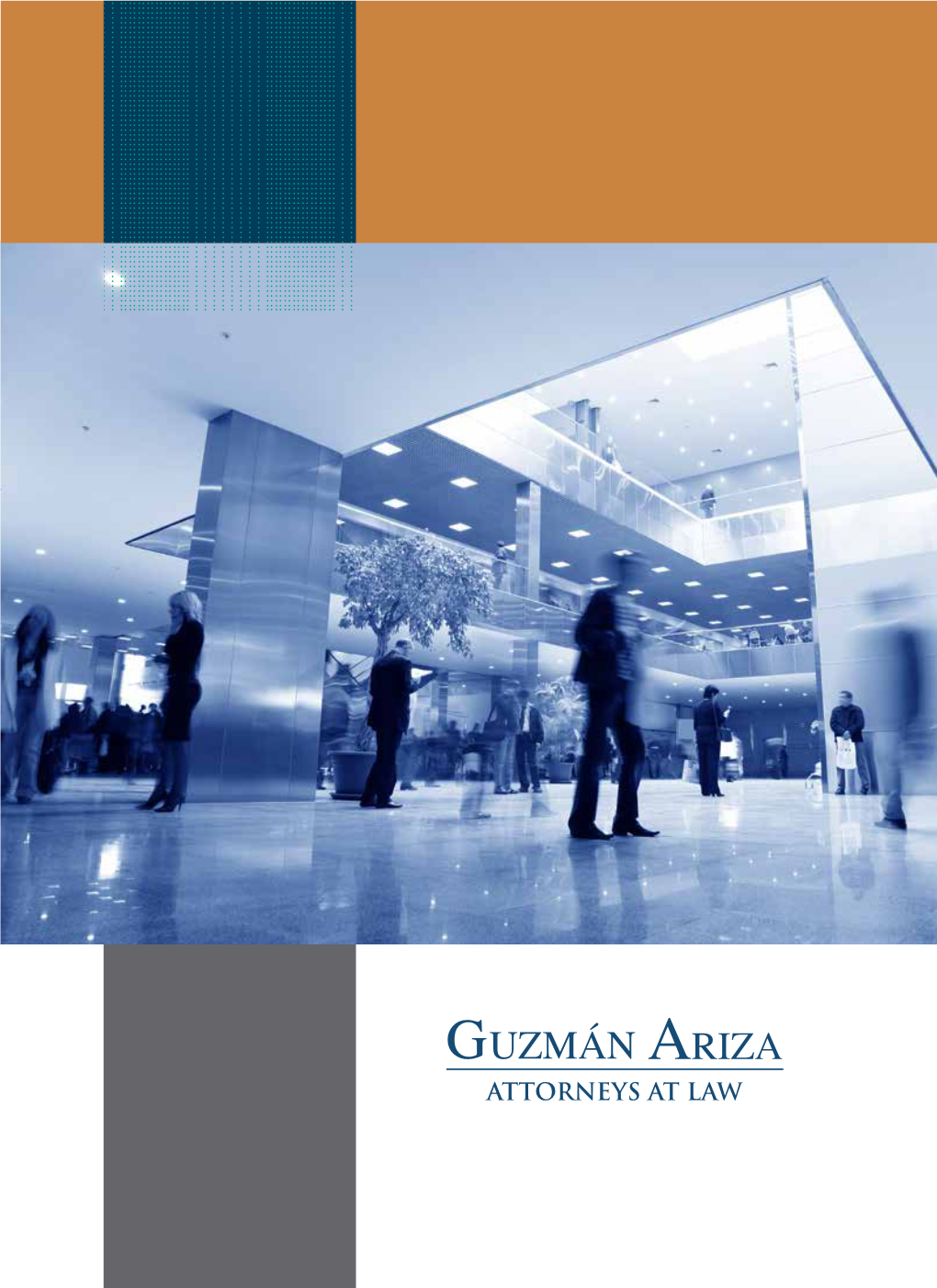 Guzmán Ariza Has Extensive Experience Advising Companies On