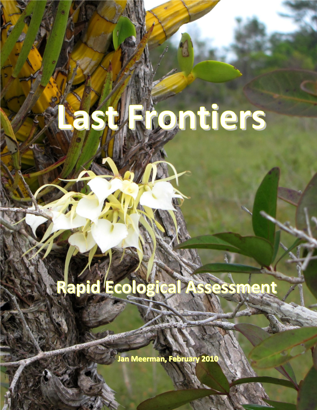 Download Last Frontiers