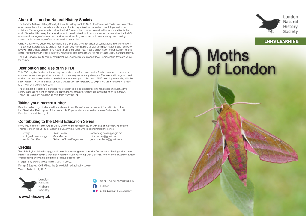 Moths of London