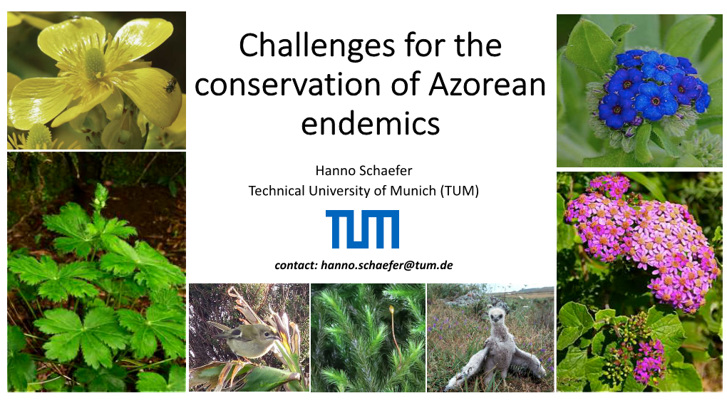 Challenges for the Conservation of Azorean Endemics