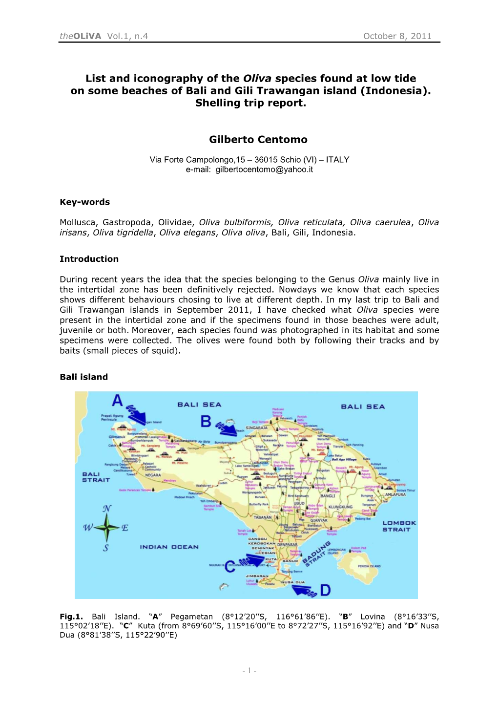 List and Iconography of the Oliva Species Found at Low Tide on Some Beaches of Bali and Gili Trawangan Island (Indonesia)