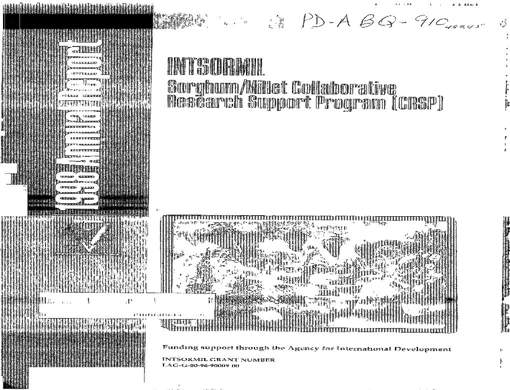 INTSORMIL 1998 Annual Report