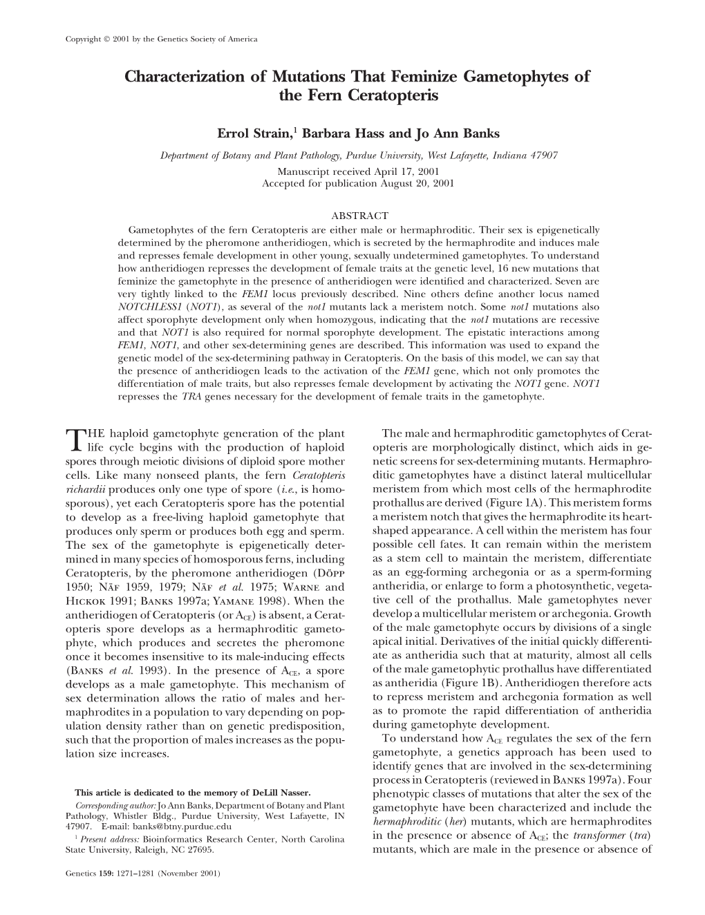 Characterization of Mutations That Feminize Gametophytes of the Fern Ceratopteris