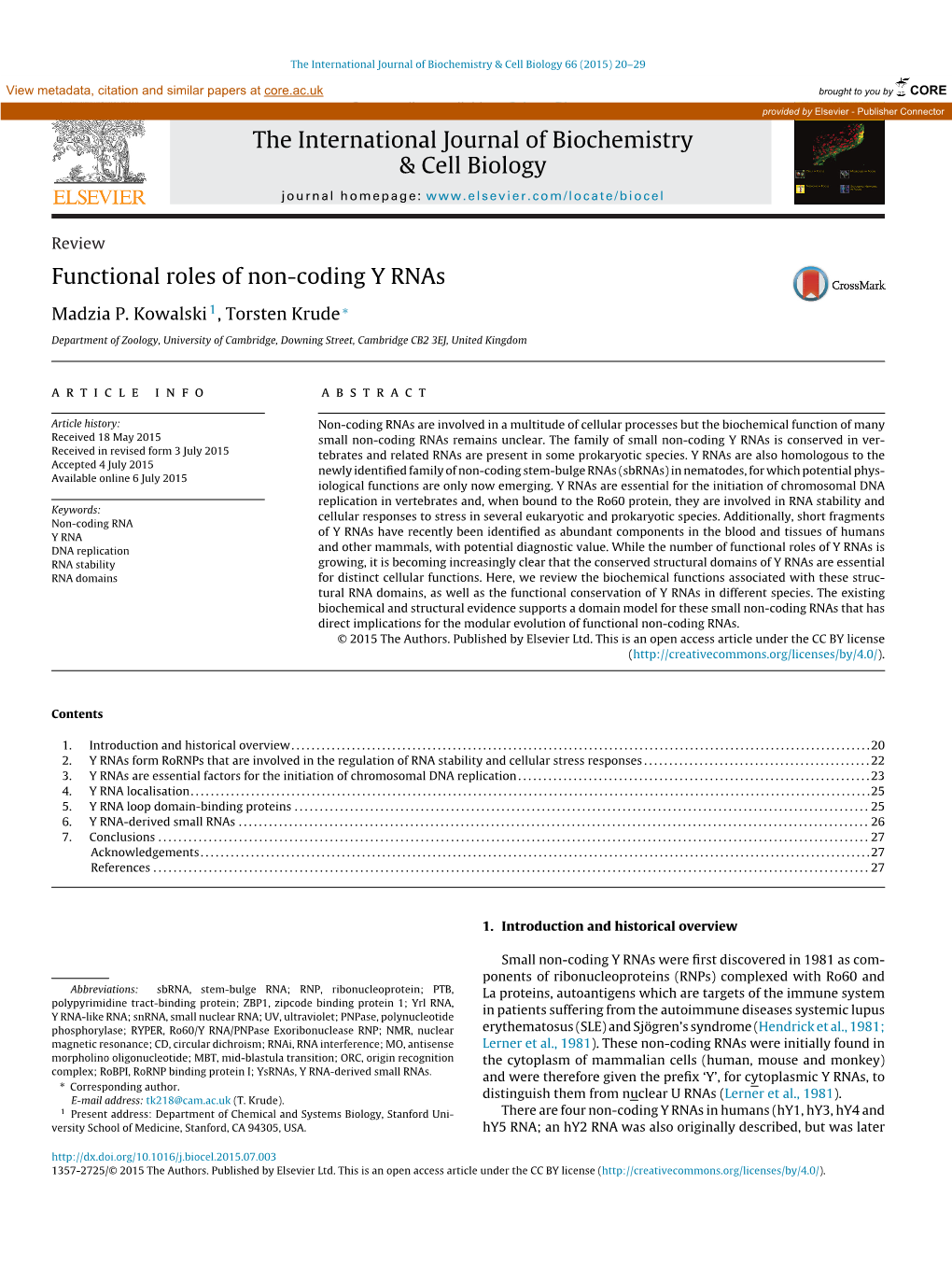 Functional Roles of Non-Coding Y Rnas