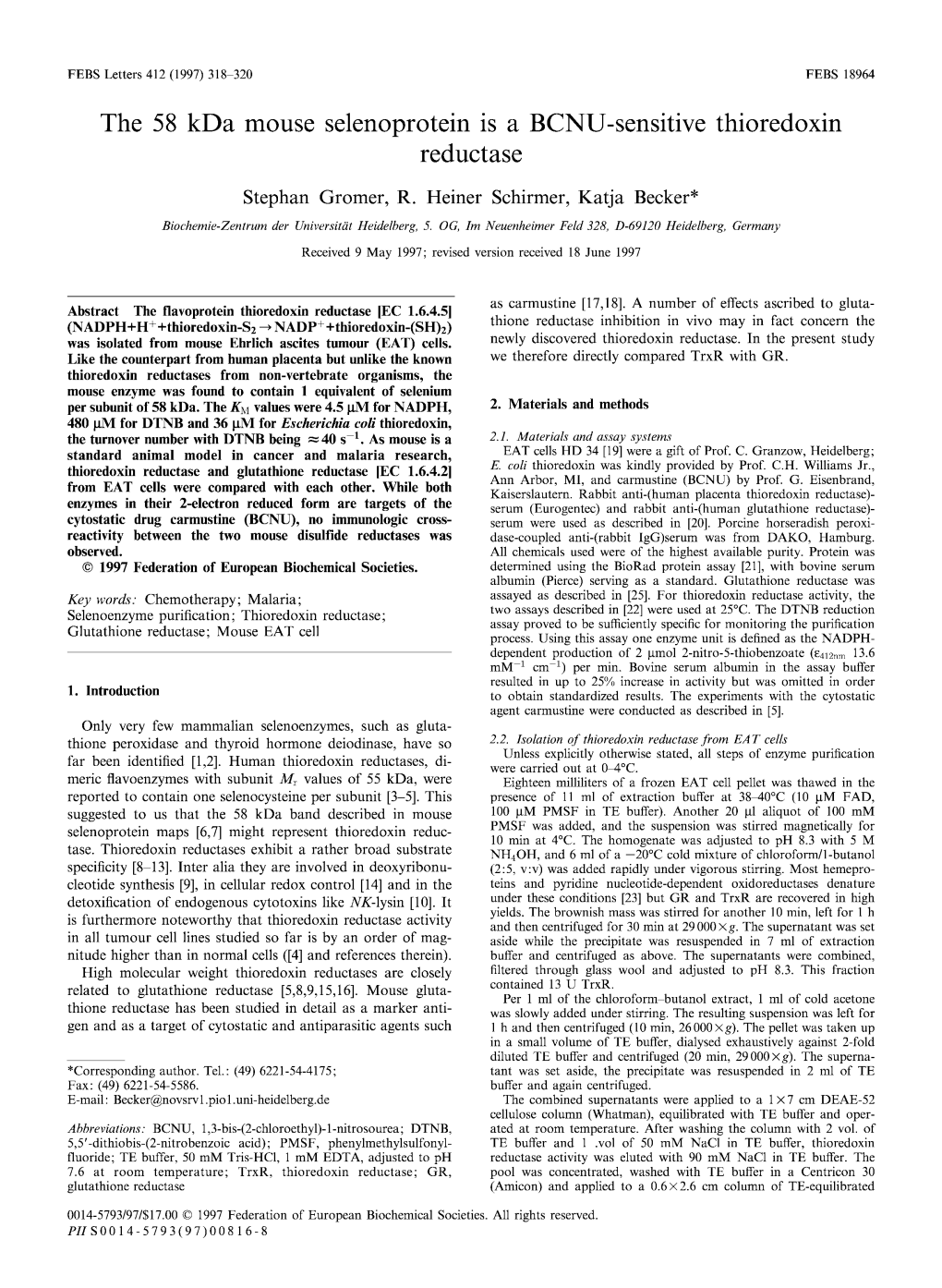 The 58 Kda Mouse Selenoprotein Is a BCNU-Sensitive Thioredoxin Reductase