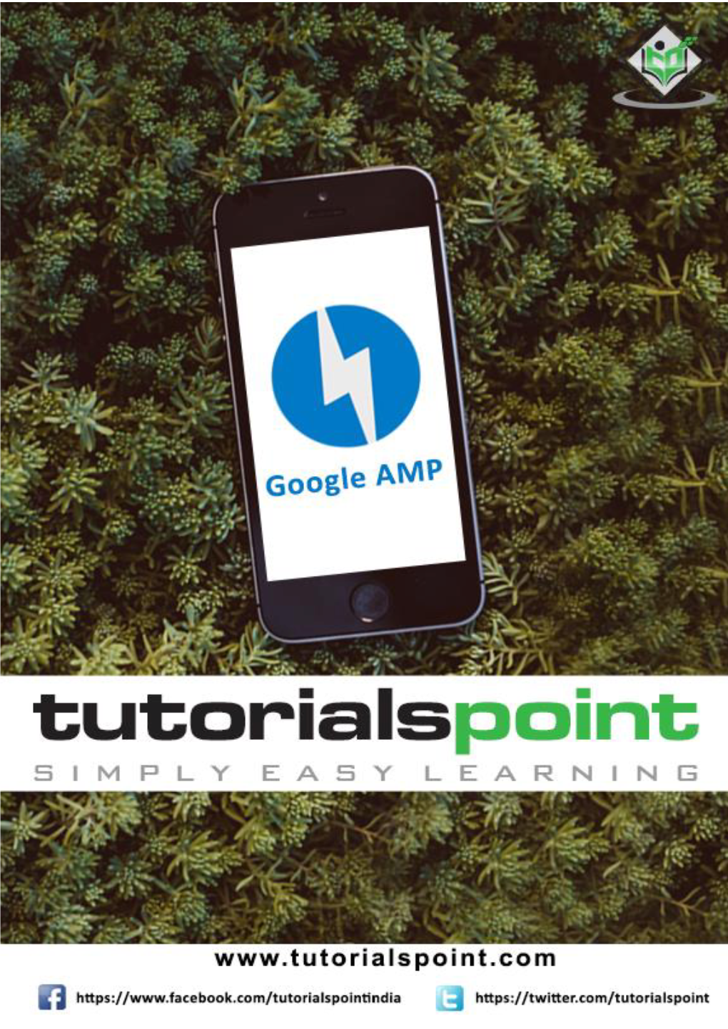 Download Google AMP Tutorial