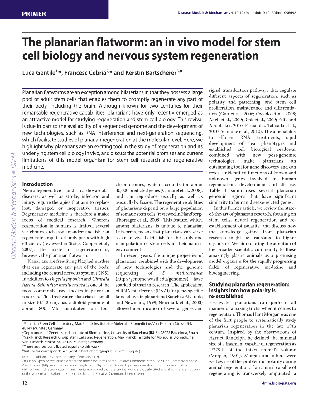 The Planarian Flatworm: an in Vivo Model for Stem Cell Biology and Nervous System Regeneration