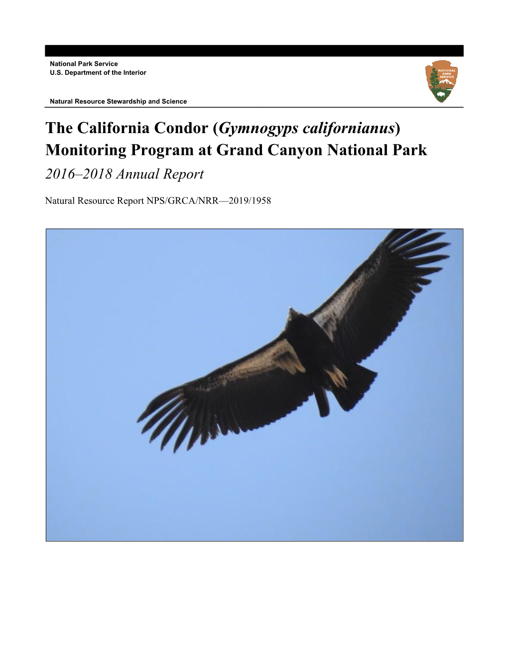 The California Condor (Gymnogyps Californianus) Monitoring Program at Grand Canyon National Park 2016–2018 Annual Report