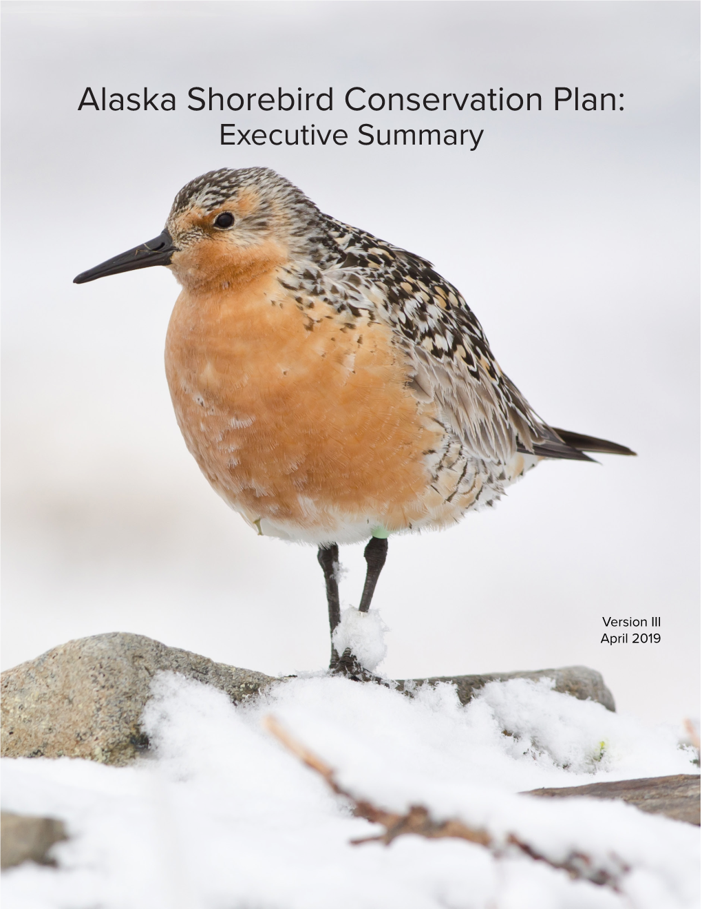 Alaska Shorebird Conservation Plan: Executive Summary