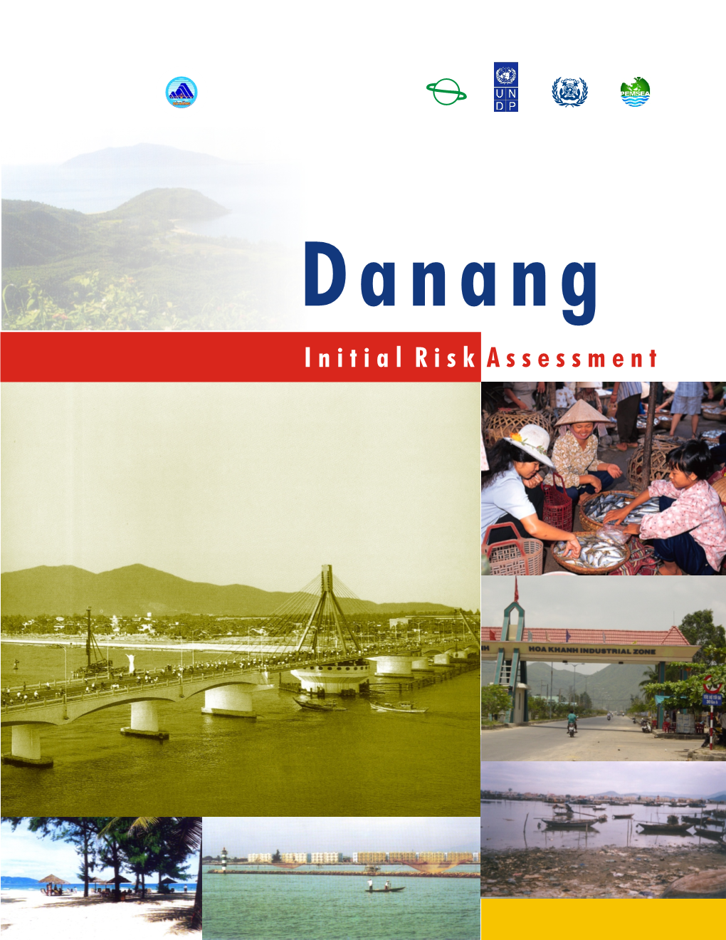 Danang Initial Risk Assessment