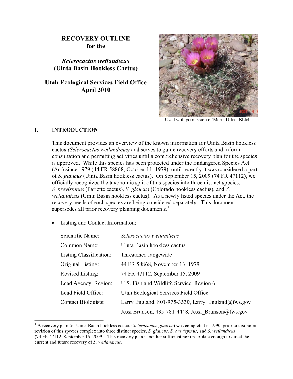 RECOVERY OUTLINE for the Sclerocactus Wetlandicus (Uinta