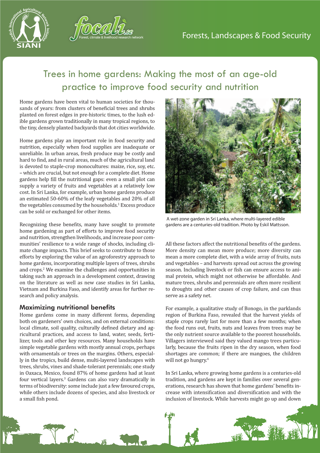 Trees in Home Gardens: Making the Most of an Age-Old Practice to Improve Food Security and Nutrition