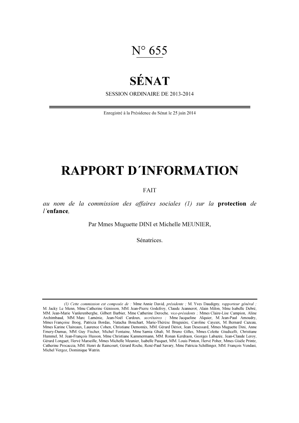 Rapport D´Information