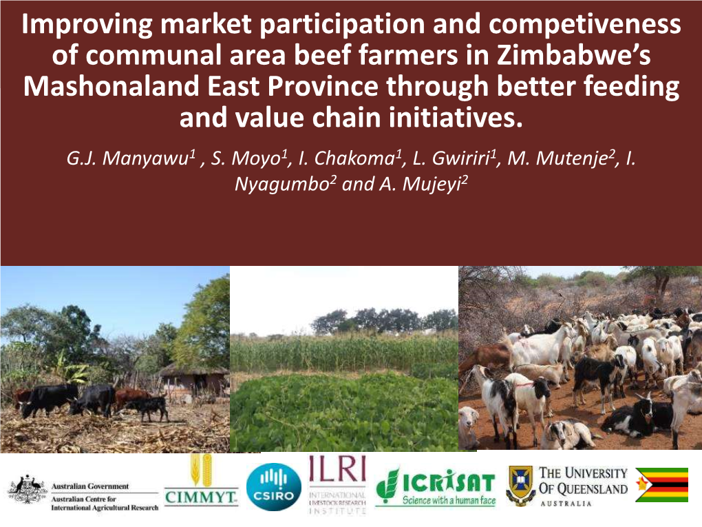 Improving Market Participation and Competiveness of Communal Area