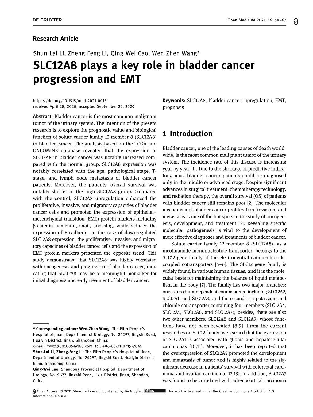 SLC12A8 Plays a Key Role in Bladder Cancer Progression and EMT