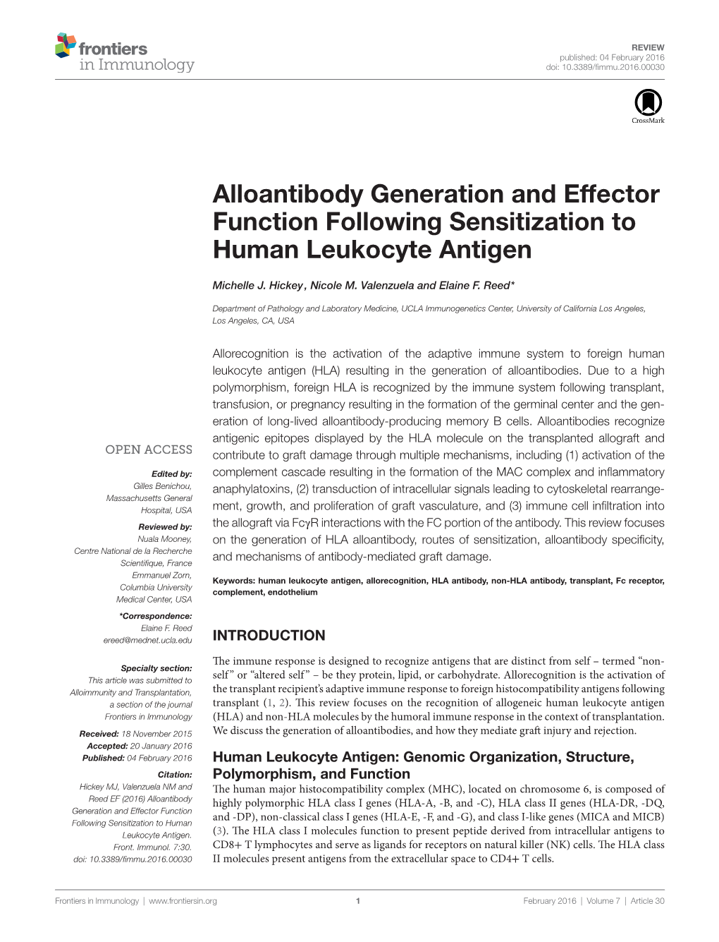 Alloantibody Generation and Effector Function Following Sensitization to Human Leukocyte Antigen