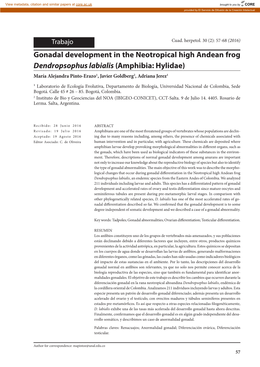 Gonadal Development in the Neotropical High Andean Frog Dendropsophus Labialis (Amphibia: Hylidae) María Alejandra Pinto-Erazo1, Javier Goldberg2, Adriana Jerez1