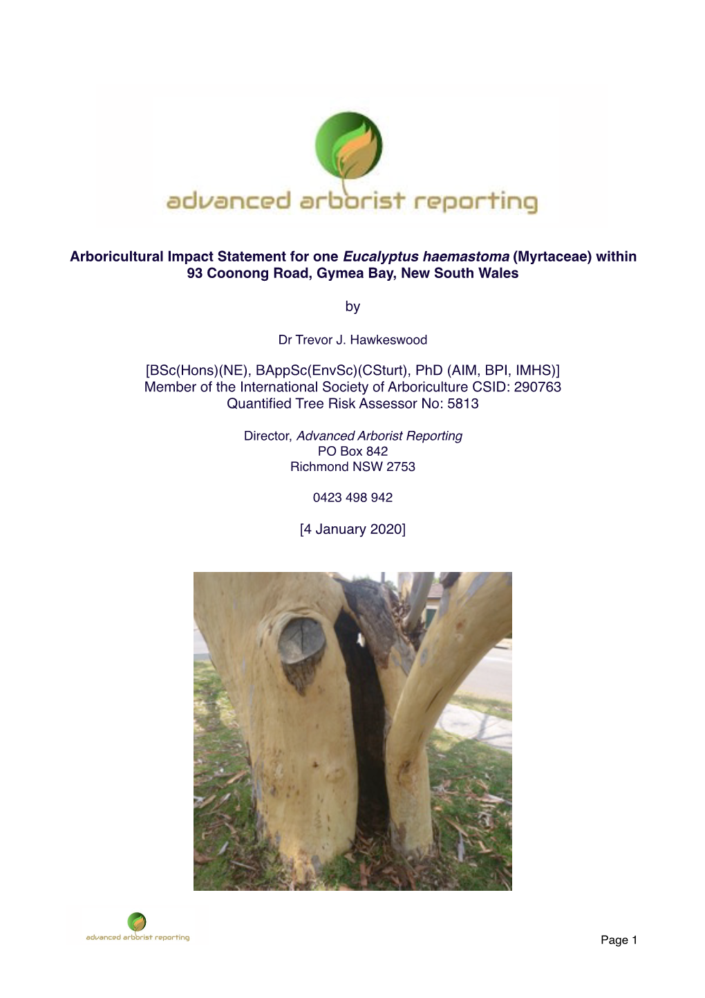 93 Coonong Road Gymea Bay Eucalyptus Tree Report