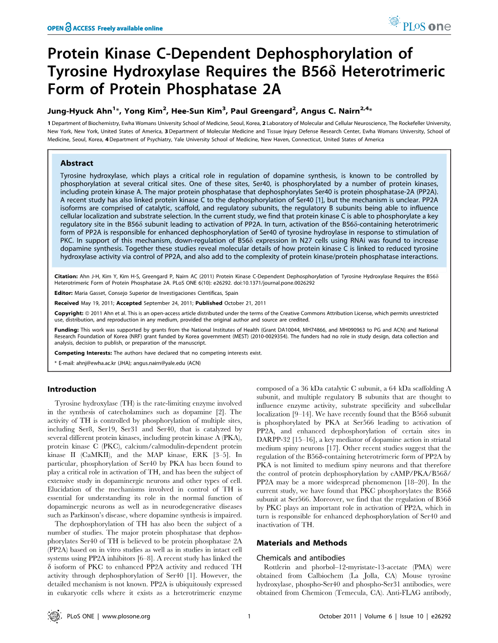 Protein Kinase C-Dependent Dephosphorylation of Tyrosine Hydroxylase Requires the B56d Heterotrimeric Form of Protein Phosphatase 2A