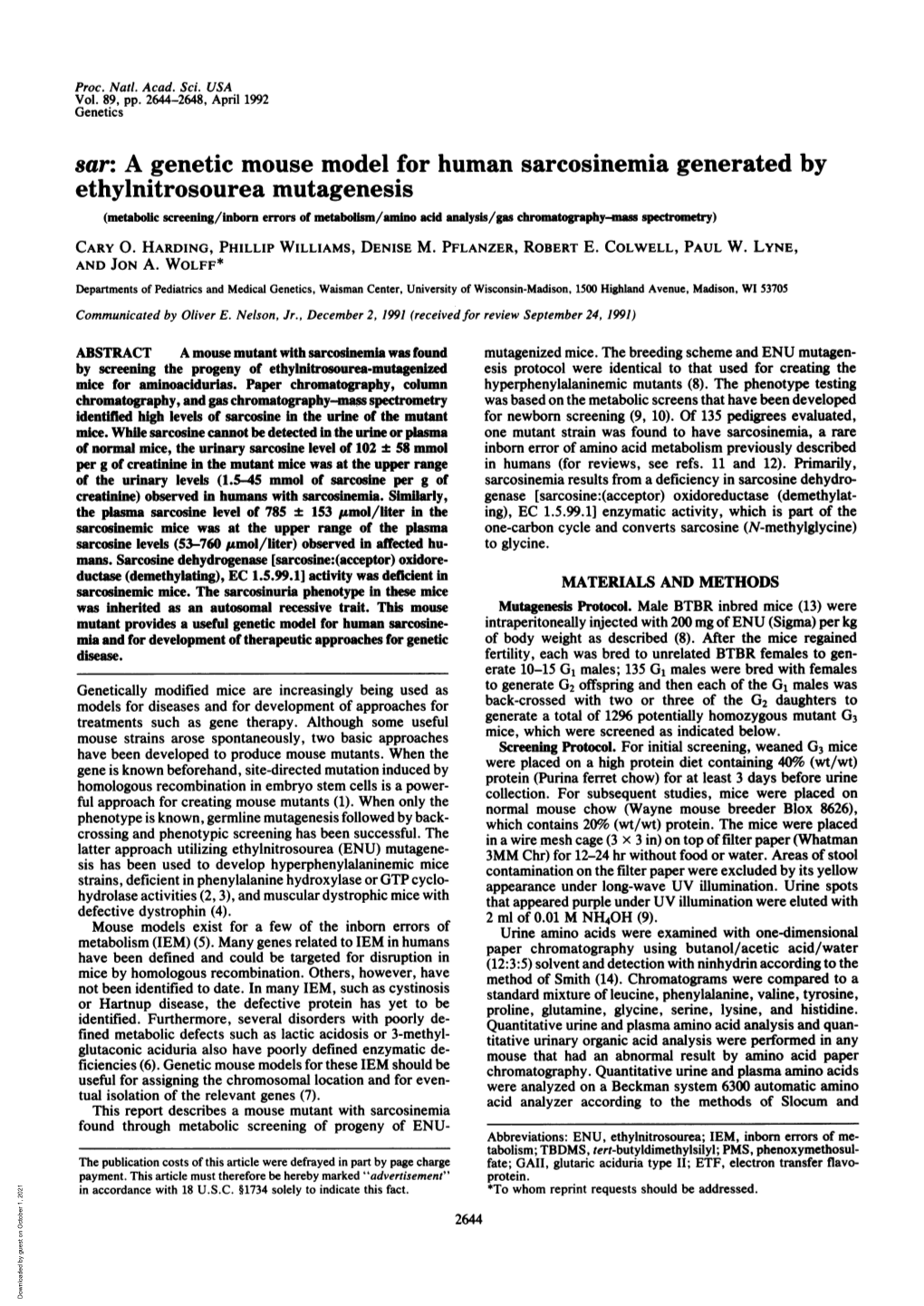 Ethylnitrosourea Mutagenesis (Metabolic Screening/Inborn Errors of Metabolism/Amino Acid Analysis/Gas Chromatography-Mass Spectrometry) CARY 0