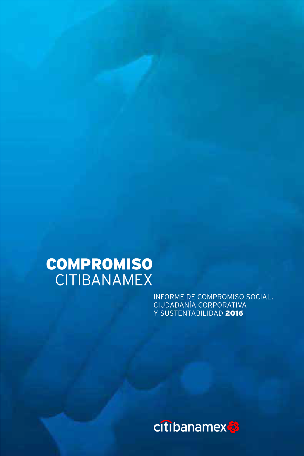 COMPROMISO CITIBANAMEX INFORME DE COMPROMISO SOCIAL, CIUDADANÍA CORPORATIVA Y SUSTENTABILIDAD 2016 Mensaje De La CEO 3 CITI LATINOAMÉRICA G4-1, G4-2