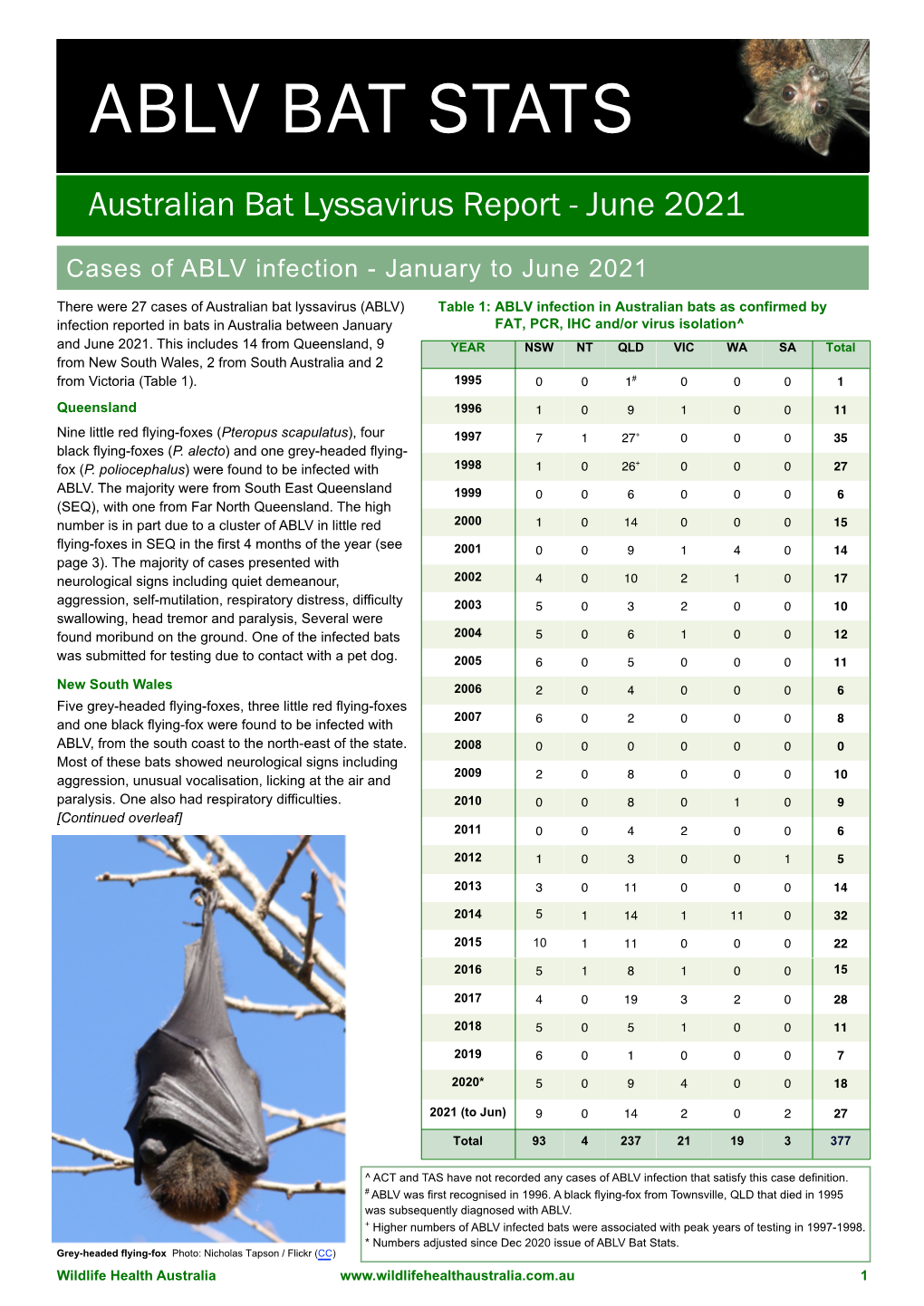 Ablv Bat Stats