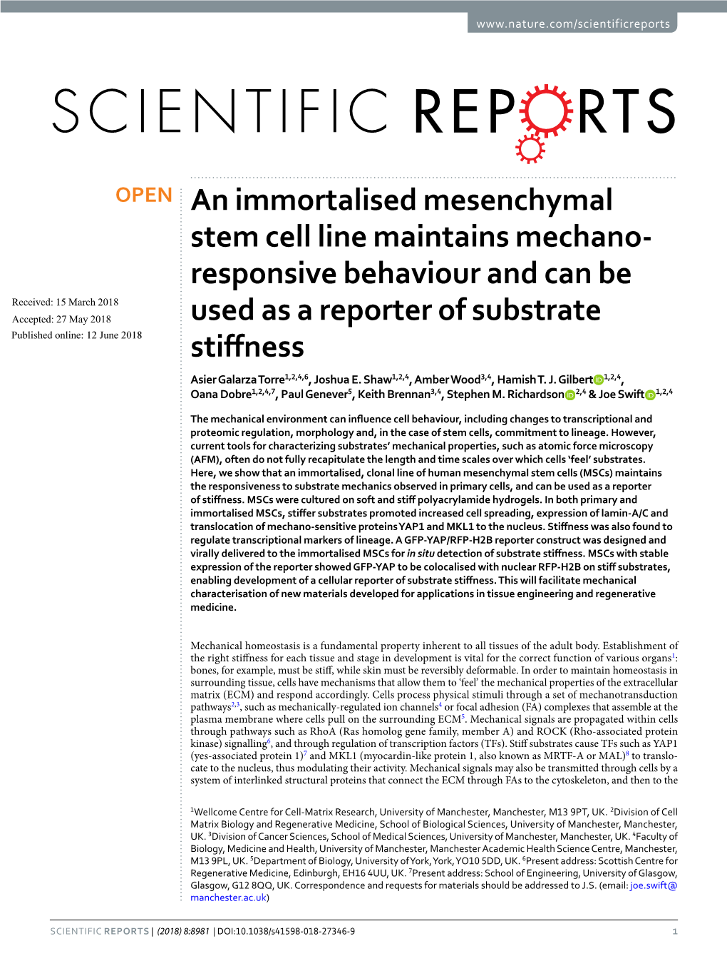 An Immortalised Mesenchymal Stem Cell Line Maintains Mechano