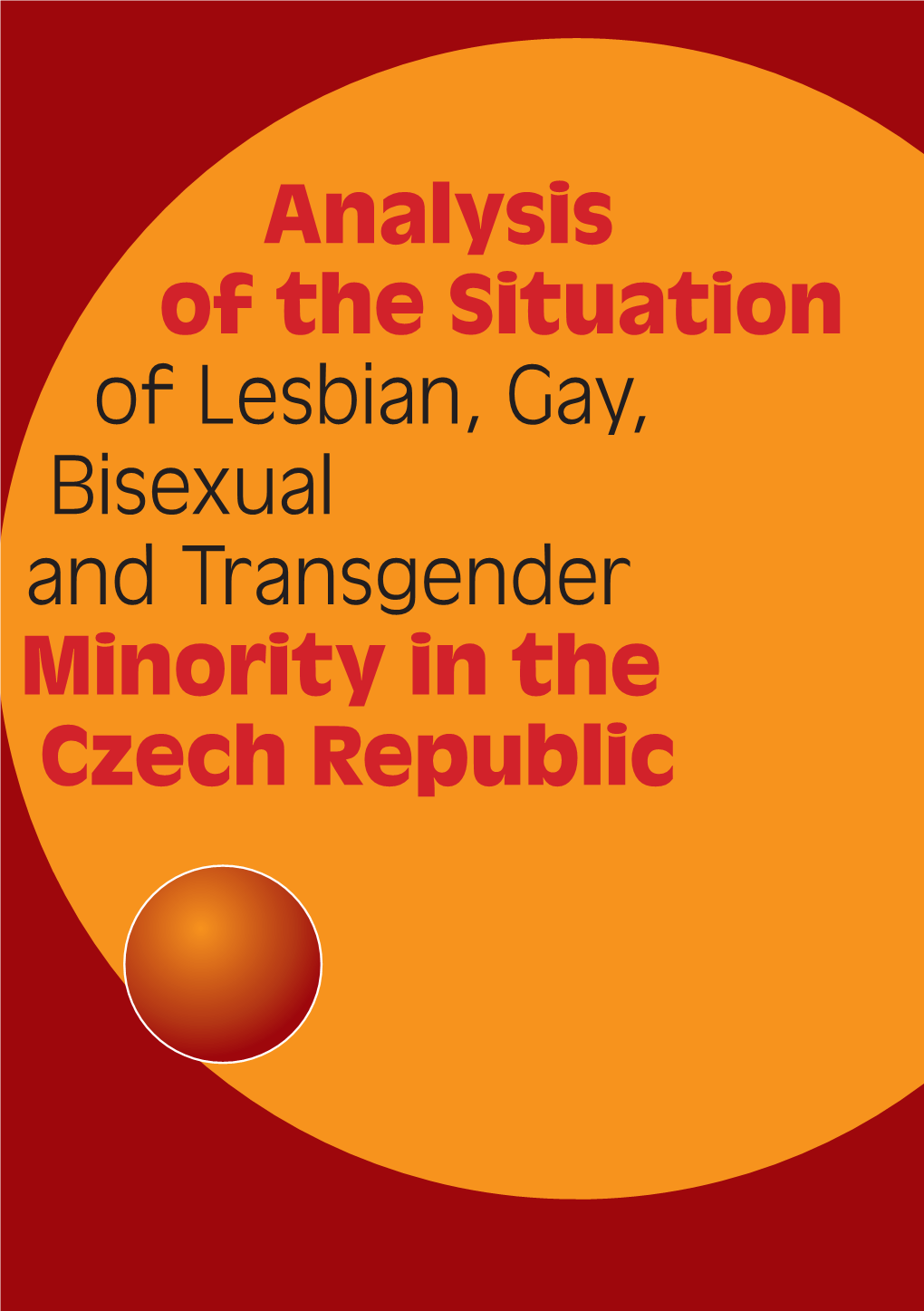 Analysis of the Situation of Lesbian, Gay, Bisexual and Transgender Minority in the Czech Republic