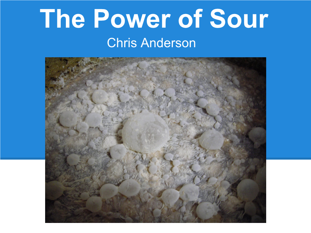 The Power of Sour Chris Anderson Sour Beers