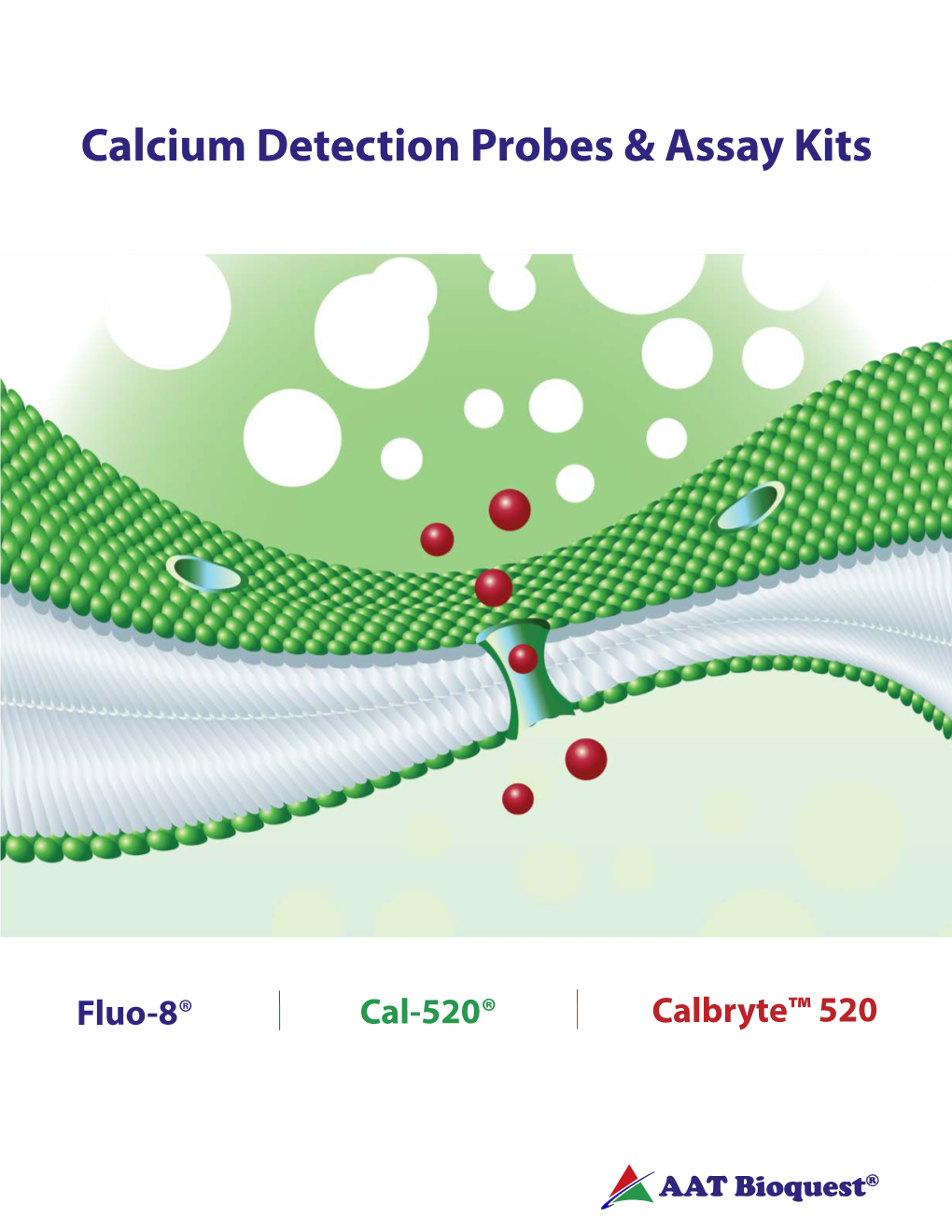 Calcium Detection Probes & Assay Kits