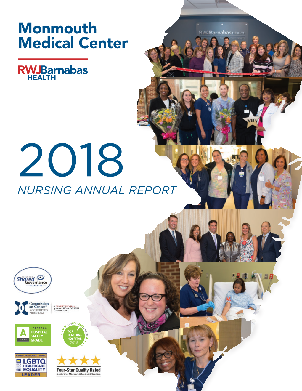 2018 NURSING ANNUAL REPORT Message from Our Chief Nursing Officer