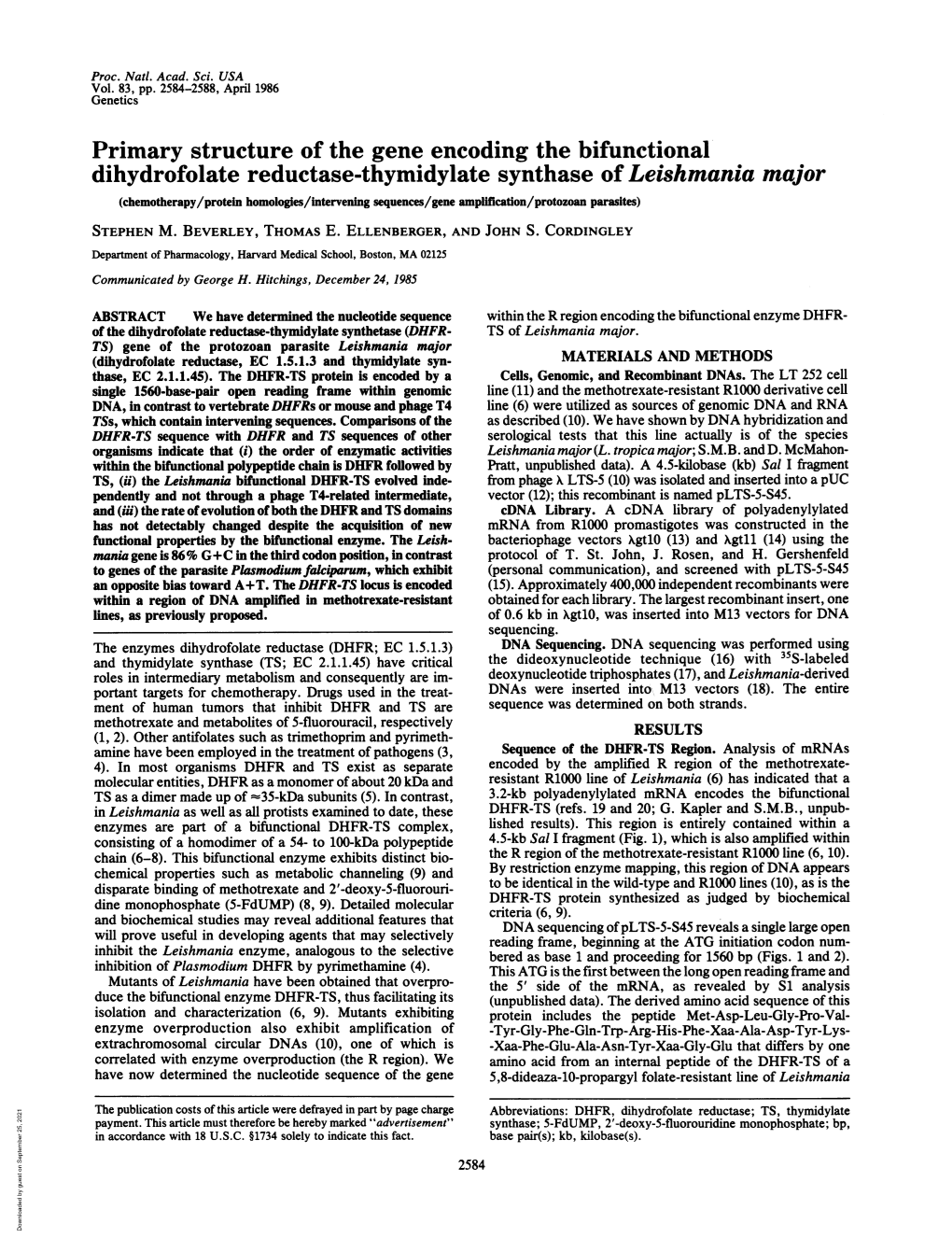 Dihydrofolate Reductase-Thymidylate Synthase of Leishmania Major