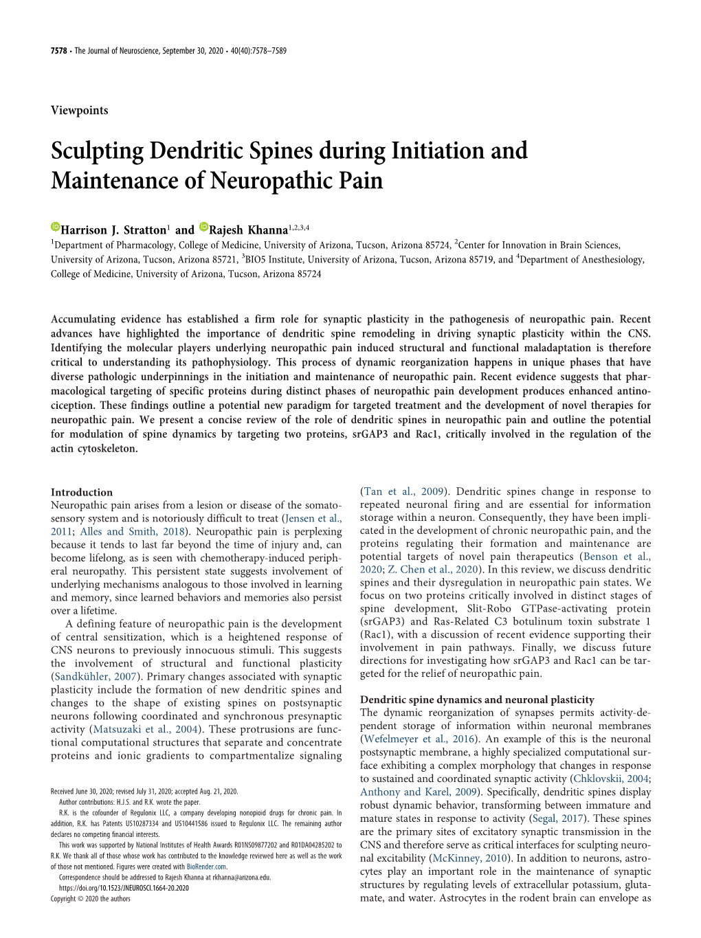 Sculpting Dendritic Spines During Initiation and Maintenance of Neuropathic Pain