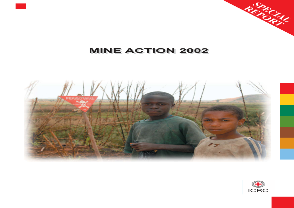 Mines Report 2002