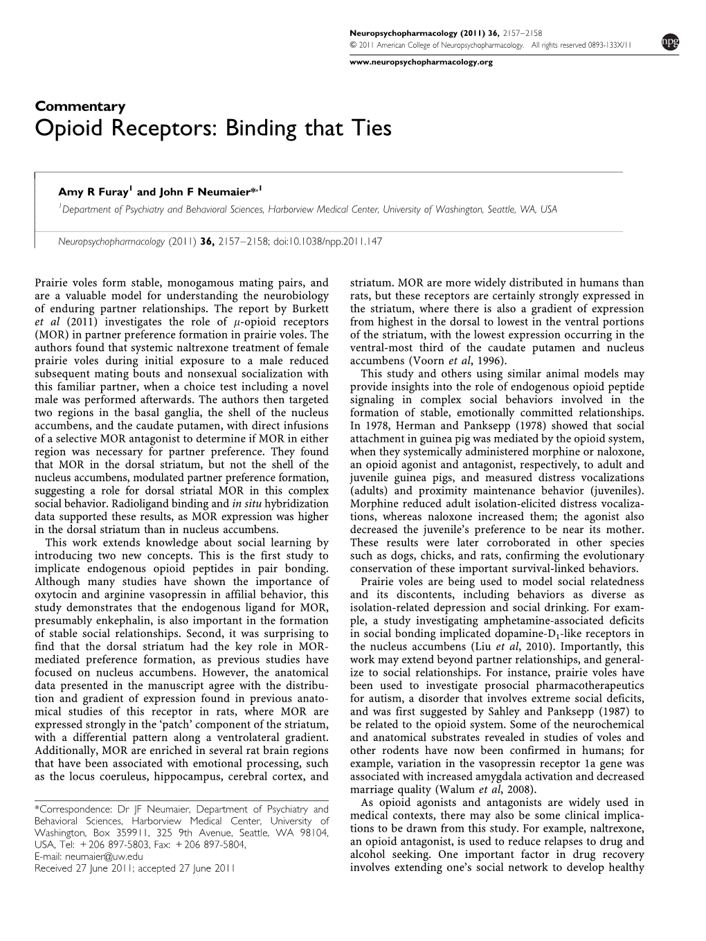 Opioid Receptors: Binding That Ties