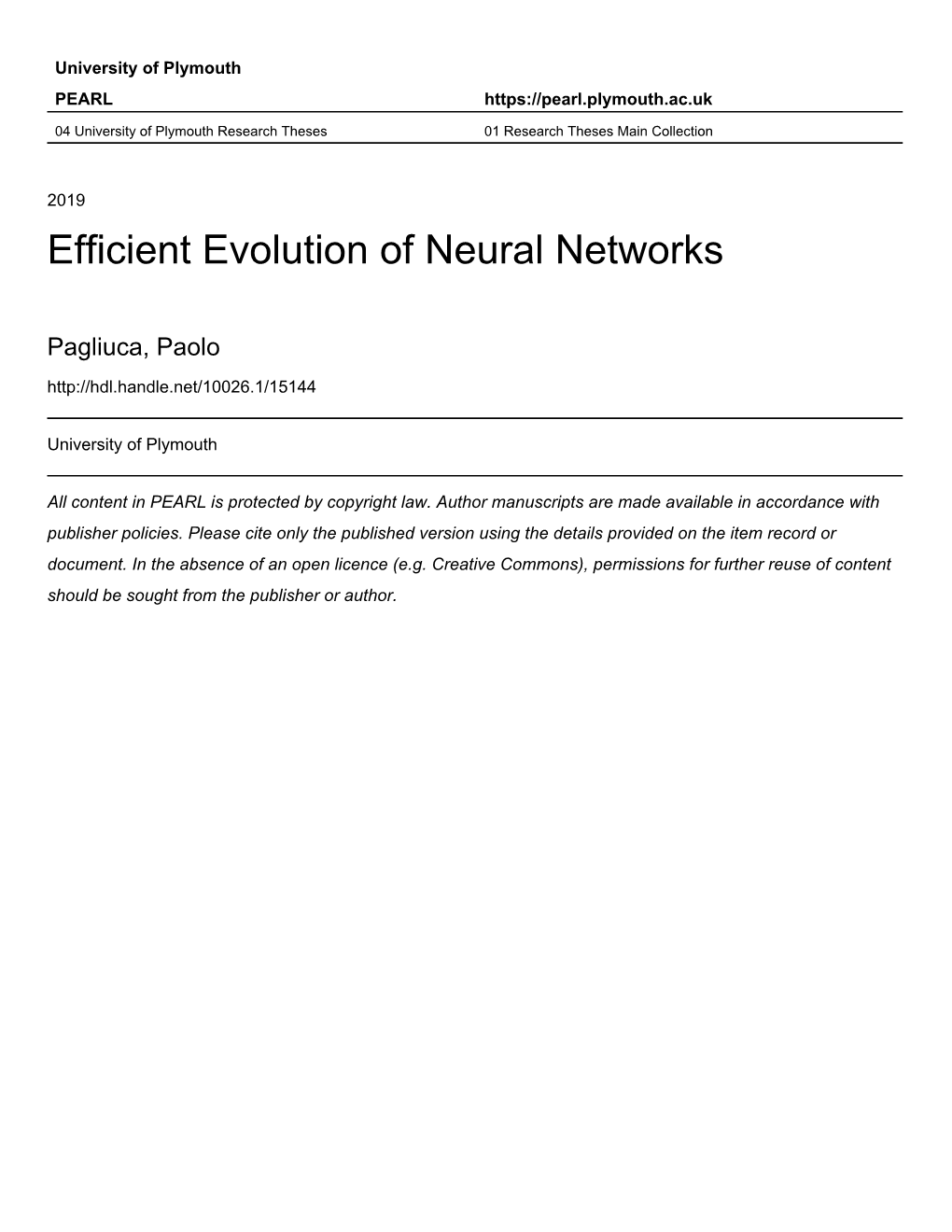 Efficient Evolution of Neural Networks Paolo Pagliuca