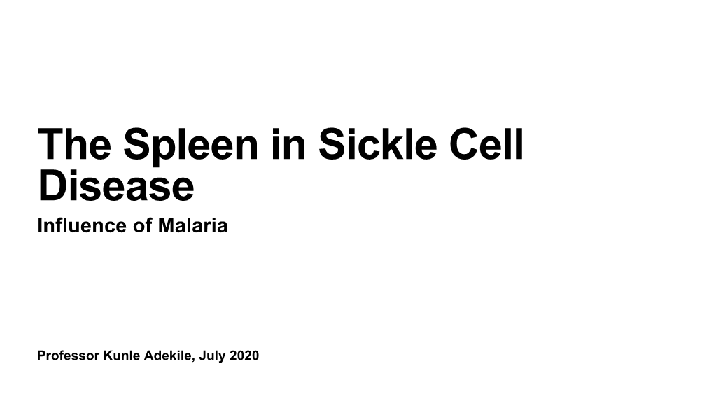 The Spleen in Sickle Cell Disease Influence of Malaria