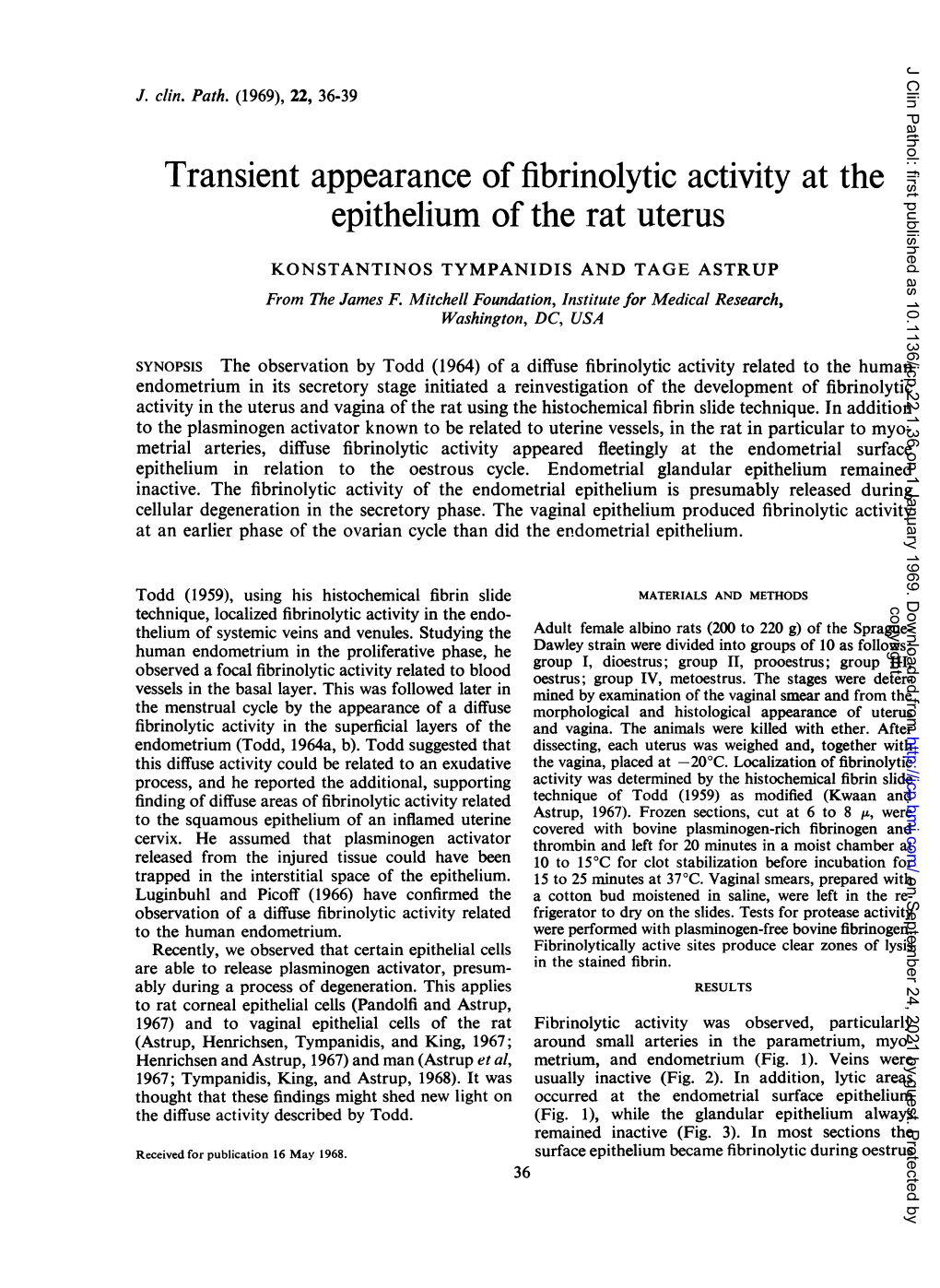Transient Appearance of Fibrinolytic Activity at the Epithelium of the Rat Uterus