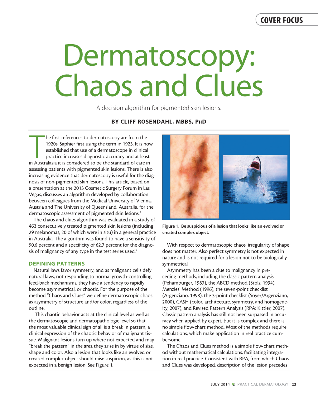 Dermatoscopy: Chaos and Clues a Decision Algorithm for Pigmented Skin Lesions