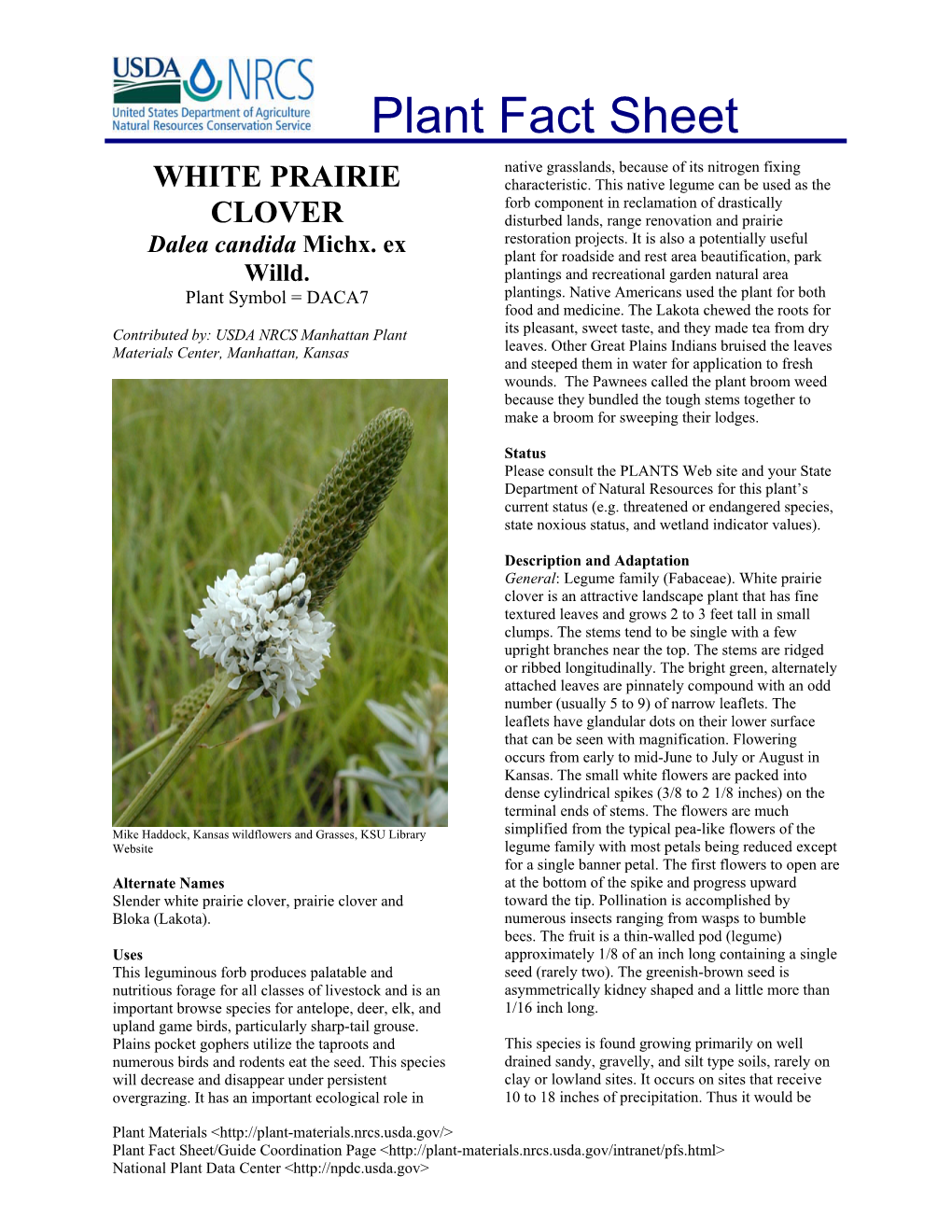 White Prairie Clover Plant Fact Sheet