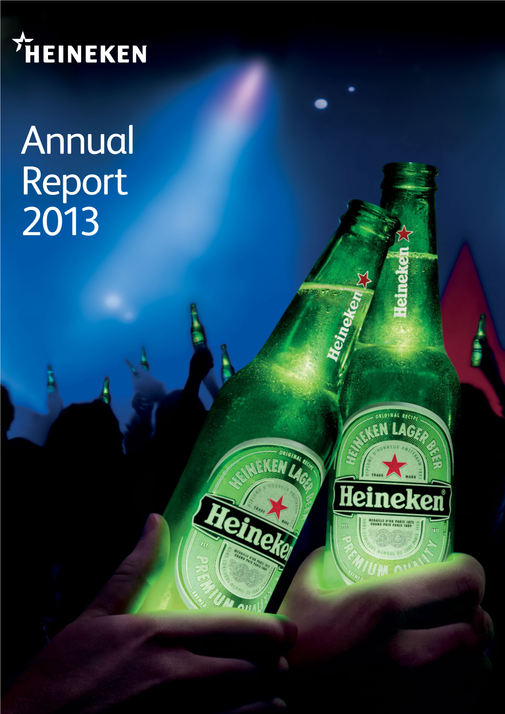 Annual Report 2013 Report V