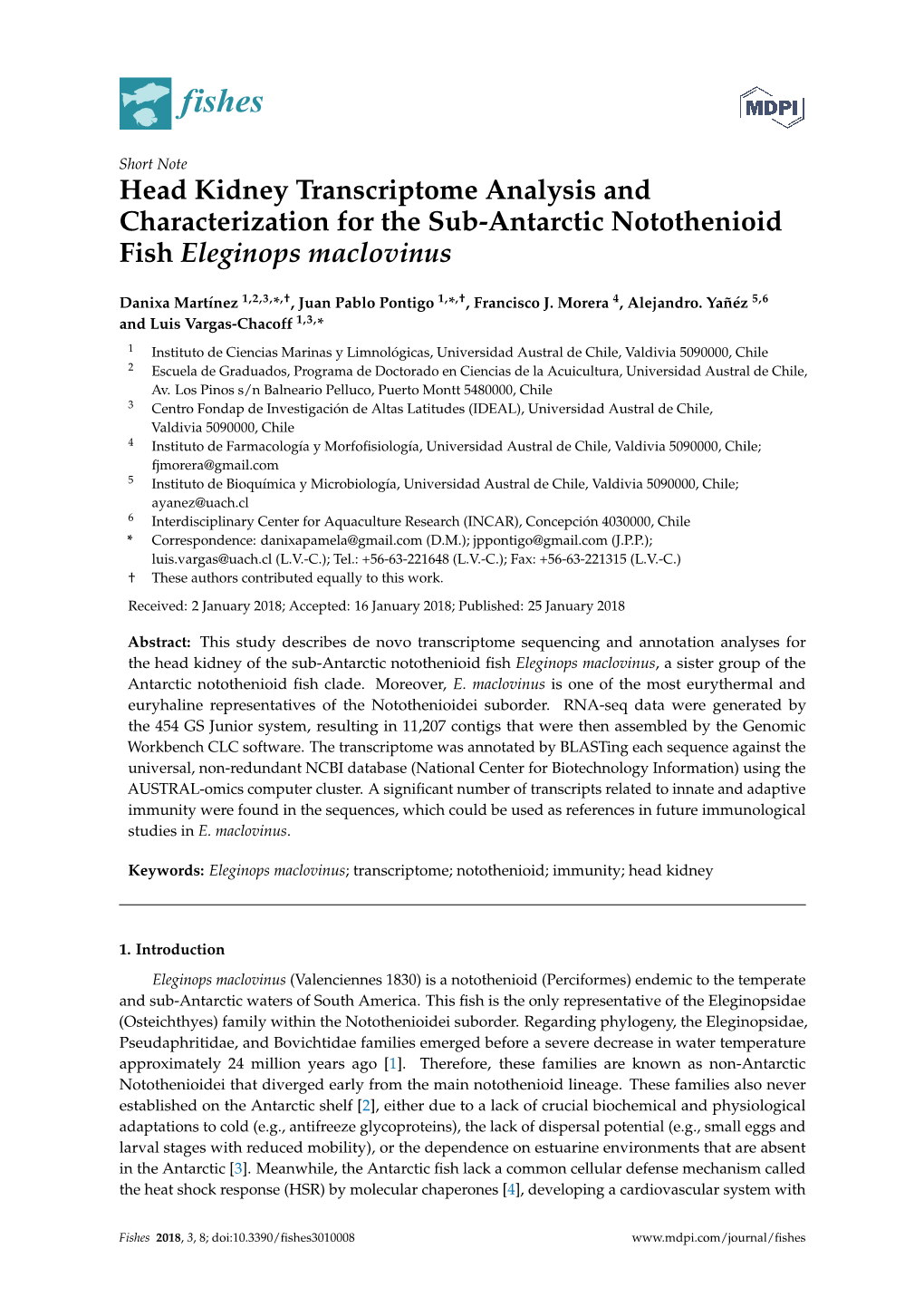 Head Kidney Transcriptome Analysis and Characterization for the Sub-Antarctic Notothenioid Fish Eleginops Maclovinus