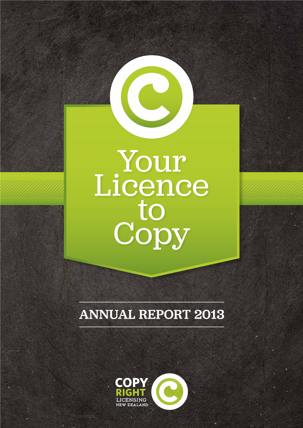 2013 Annual Report