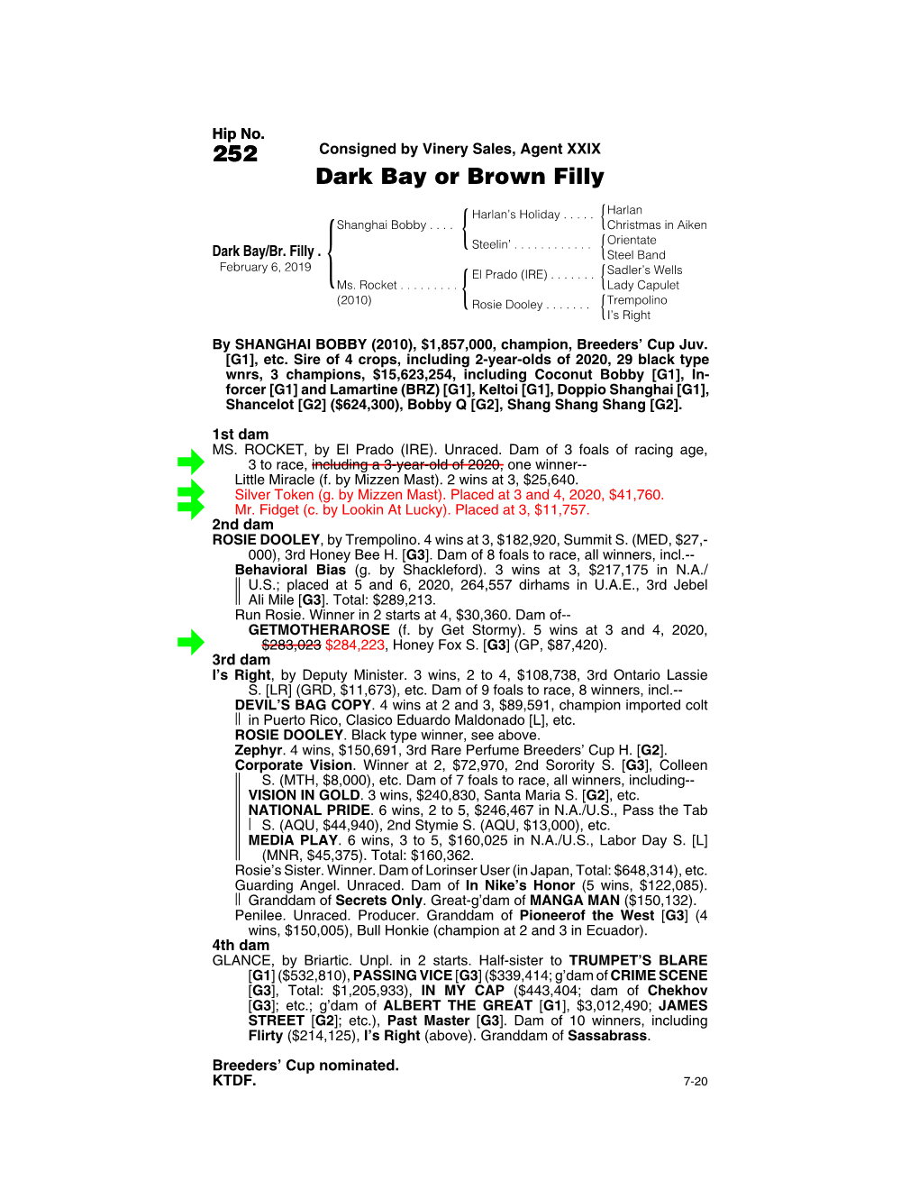 252 Consigned by Vinery Sales, Agent XXIX Dark Bay Or Brown Filly