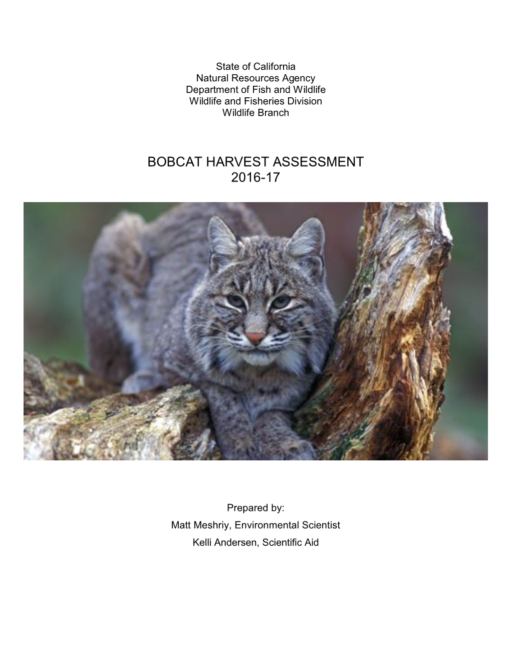 Bobcat Harvest Assessment 2016-17