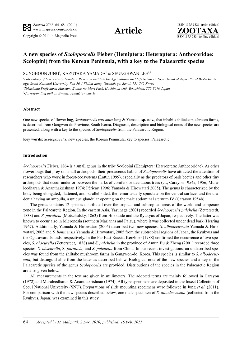 (Hemiptera: Heteroptera: Anthocoridae: Scolopini) from the Korean Peninsula, with a Key to the Palaearctic Species