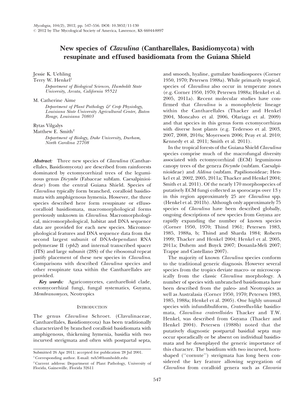 New Species of Clavulina with Effused Or Resupinate